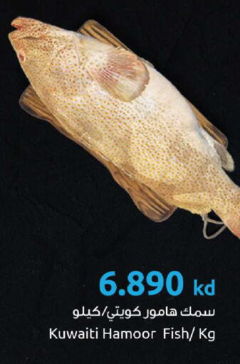 available at The Sultan Center in Kuwait - Kuwait City