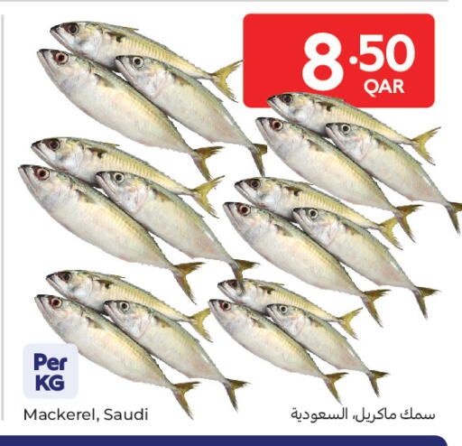 available at Carrefour in Qatar - Al Wakra