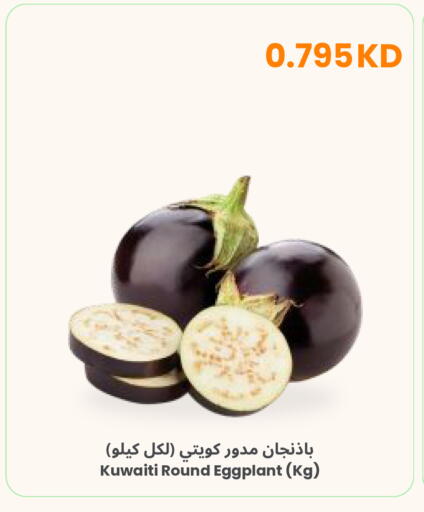 Eggplant from Kuwait available at The Sultan Center in Kuwait - Ahmadi Governorate