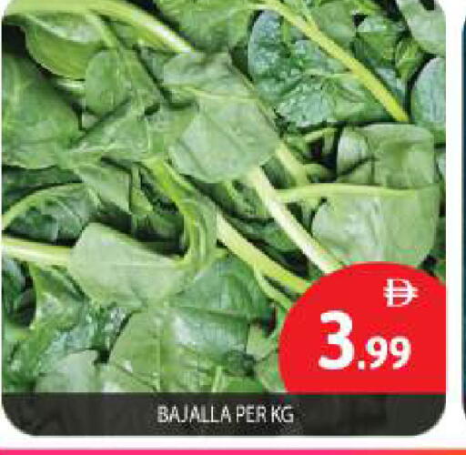 available at بيج مارت in الإمارات العربية المتحدة , الامارات - أبو ظبي