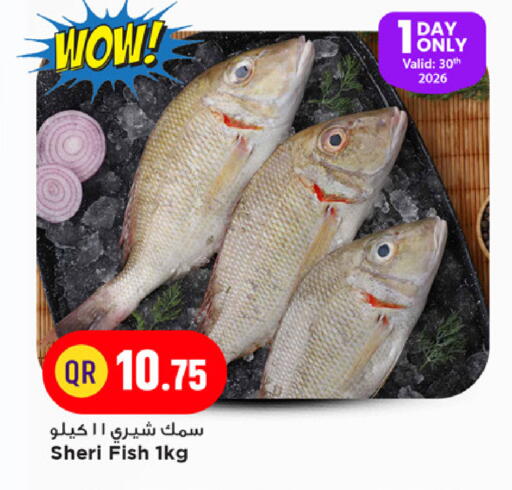 available at مرزا هايبرماركت in قطر - الخور