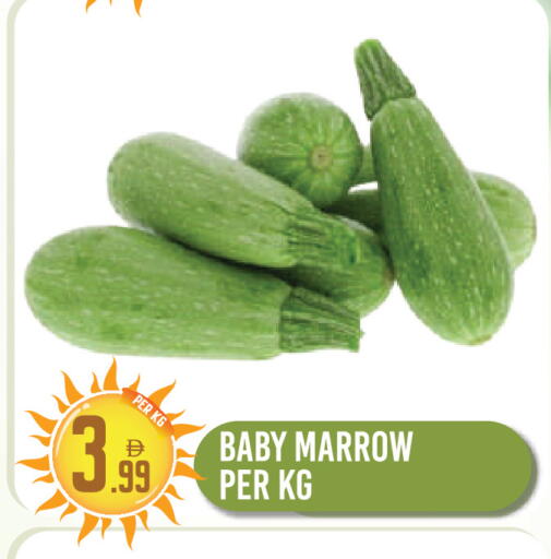 Marrow available at دريم لاند in الإمارات العربية المتحدة , الامارات - دبي