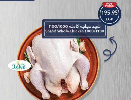 available at  أوسكار جراند ستورز  in Egypt - القاهرة