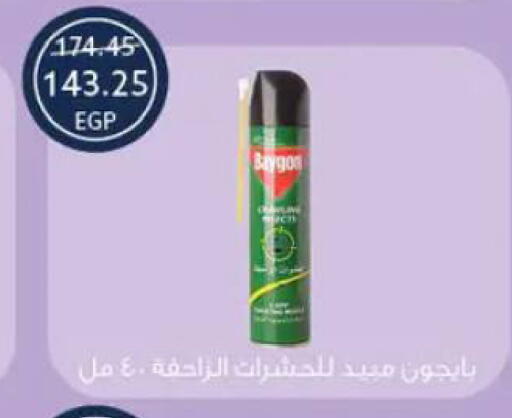 available at  أوسكار جراند ستورز  in Egypt - القاهرة