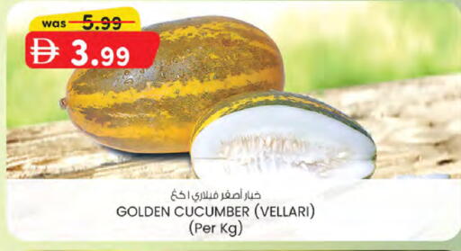 Cucumber available at ك. الم. للتجارة in الإمارات العربية المتحدة , الامارات - الشارقة / عجمان