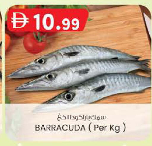 available at الصفا in الإمارات العربية المتحدة , الامارات - ٱلْعَيْن‎