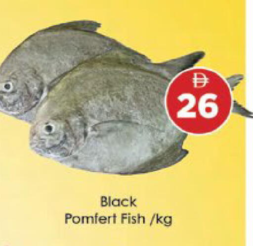 available at ايكو مول & ايكو هايبرماركت in الإمارات العربية المتحدة , الامارات - ٱلْعَيْن‎