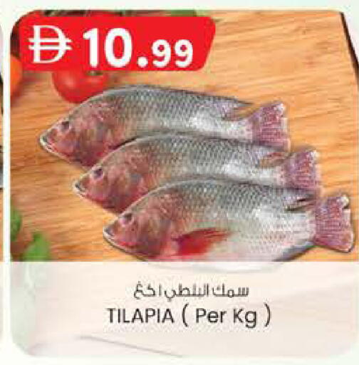 available at صفا هايبر in الإمارات العربية المتحدة , الامارات - ٱلْعَيْن‎