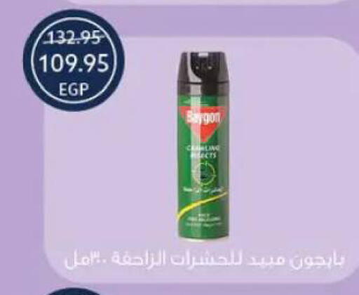 available at  أوسكار جراند ستورز  in Egypt - القاهرة