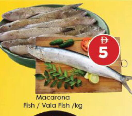 available at ايكو مول & ايكو هايبرماركت in الإمارات العربية المتحدة , الامارات - ٱلْعَيْن‎