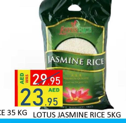 available at رويال جلف هايبرماركت in الإمارات العربية المتحدة , الامارات - أبو ظبي