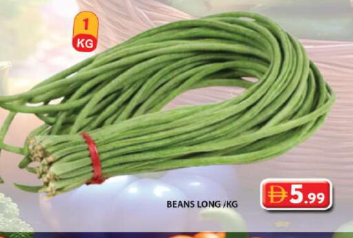 available at Grand Hyper Market in UAE - Sharjah / Ajman