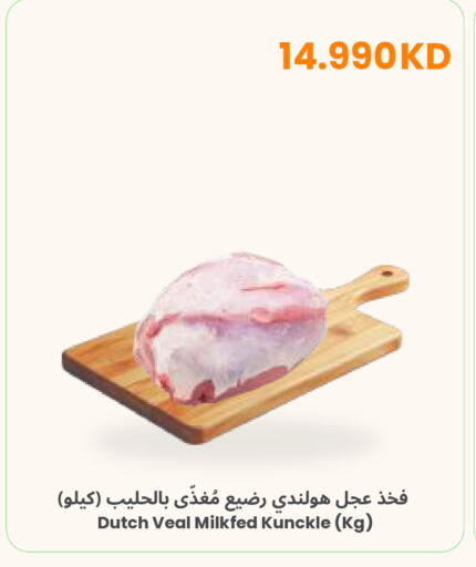 available at مركز سلطان in الكويت - محافظة الأحمدي
