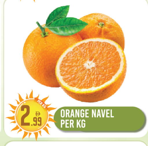 Orange available at دريم لاند in الإمارات العربية المتحدة , الامارات - دبي