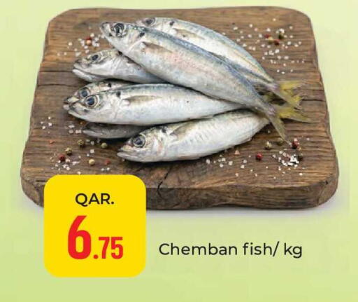 available at باريس هايبرماركت in قطر - الوكرة