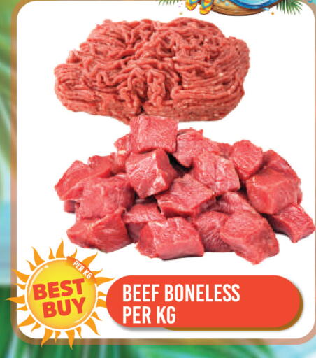 available at دريم لاند in الإمارات العربية المتحدة , الامارات - دبي