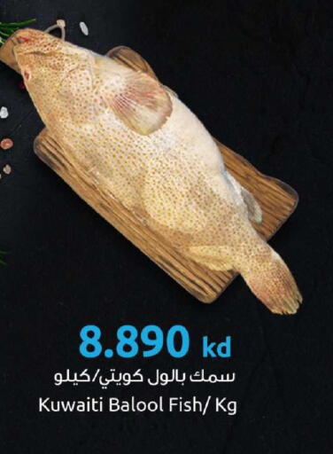 available at The Sultan Center in Kuwait - Kuwait City