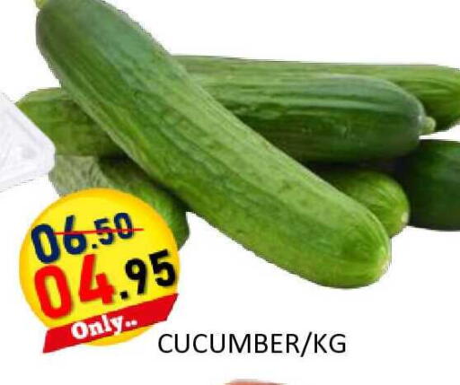 Cucumber available at رويال جلف هايبرماركت in الإمارات العربية المتحدة , الامارات - أبو ظبي