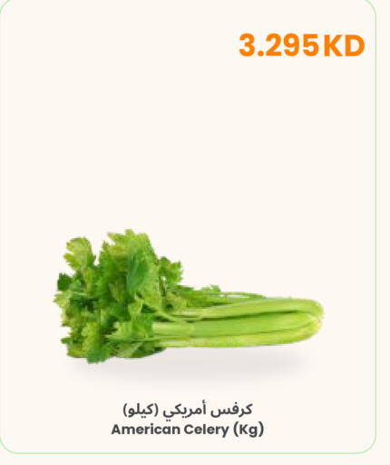 Celery from United States available at The Sultan Center in Kuwait - Ahmadi Governorate