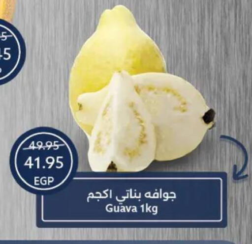 Guava available at  أوسكار جراند ستورز  in Egypt - القاهرة