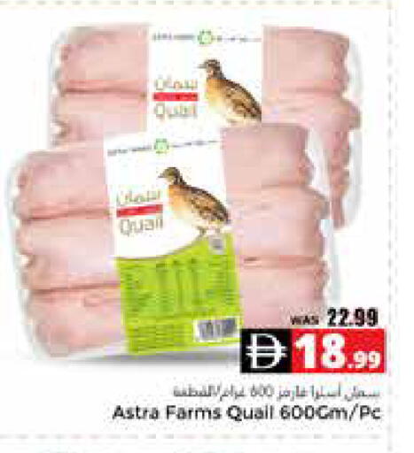 available at هايبر ماركت باسونز in الإمارات العربية المتحدة , الامارات - ٱلْعَيْن‎