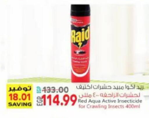 available at New.Penny.market in Egypt - Cairo