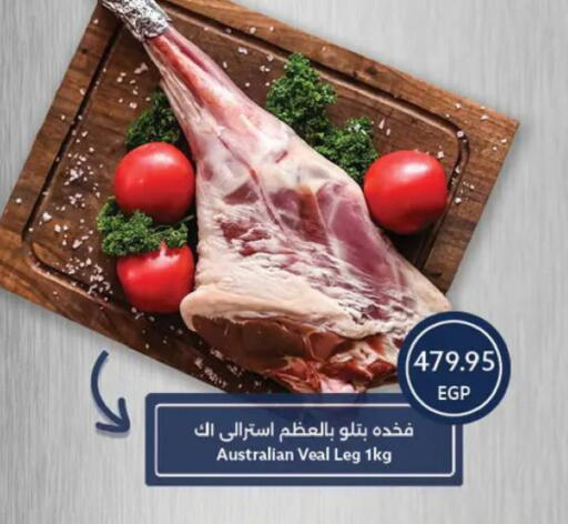 available at  أوسكار جراند ستورز  in Egypt - القاهرة