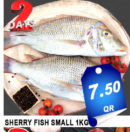 available at باشن هايبر ماركت in قطر - الخور