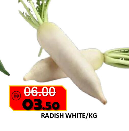 Radish available at رويال جلف هايبرماركت in الإمارات العربية المتحدة , الامارات - أبو ظبي