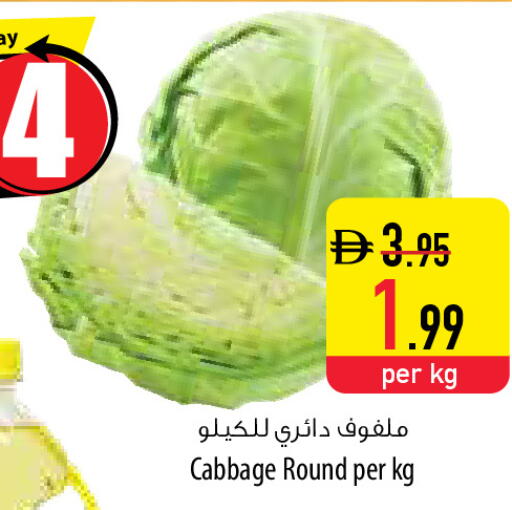 Cabbage available at السفير ماركت in الإمارات العربية المتحدة , الامارات - رَأْس ٱلْخَيْمَة