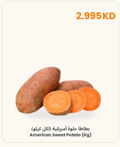 Sweet Potato from United States available at The Sultan Center in Kuwait - Kuwait City