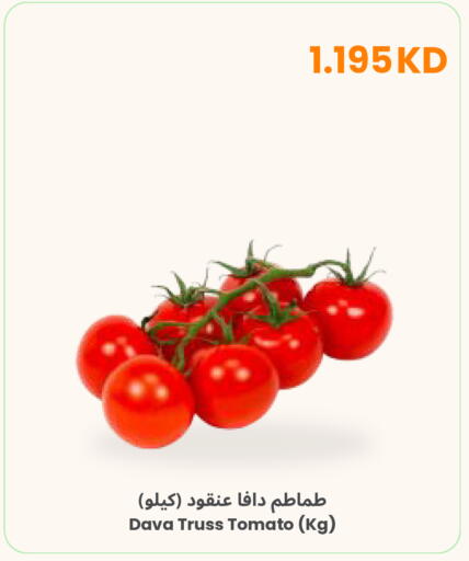 Tomato available at مركز سلطان in الكويت - محافظة الجهراء