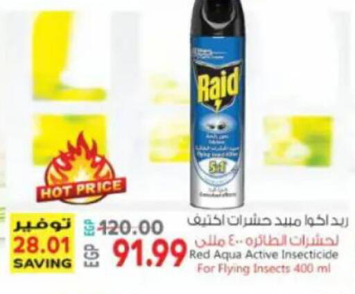 available at New.Penny.market in Egypt - Cairo