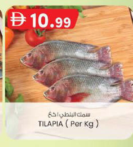 available at K M Trading  in UAE - Abu Dhabi