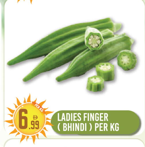 available at دريم لاند in الإمارات العربية المتحدة , الامارات - دبي