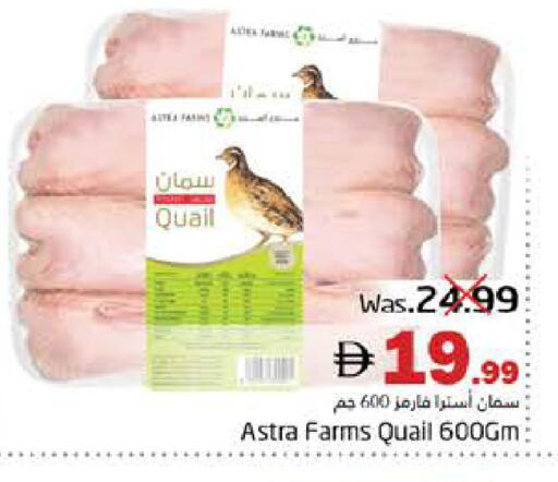 available at هايبر ماركت باسونز in الإمارات العربية المتحدة , الامارات - ٱلْفُجَيْرَة‎