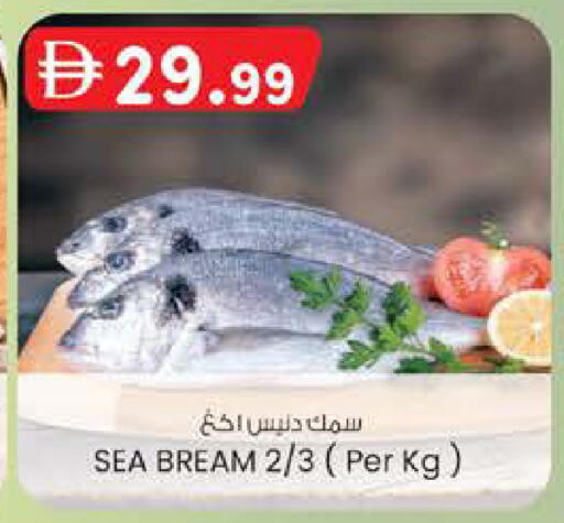 available at الصفا in الإمارات العربية المتحدة , الامارات - ٱلْعَيْن‎