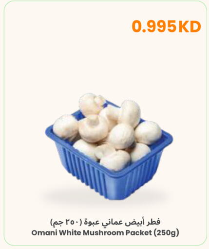 Mushroom from Oman available at The Sultan Center in Kuwait - Ahmadi Governorate
