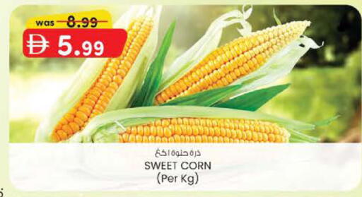 available at صفا هايبر in الإمارات العربية المتحدة , الامارات - ٱلْعَيْن‎