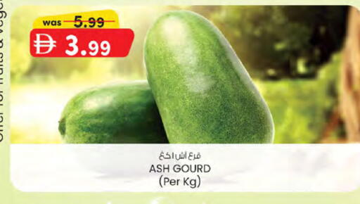 available at ك. الم. للتجارة in الإمارات العربية المتحدة , الامارات - الشارقة / عجمان