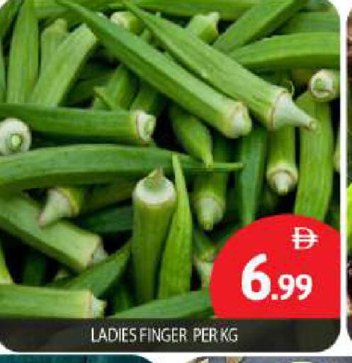 available at بيج مارت in الإمارات العربية المتحدة , الامارات - أبو ظبي