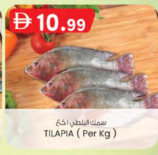 available at ك. الم. للتجارة in الإمارات العربية المتحدة , الامارات - الشارقة / عجمان