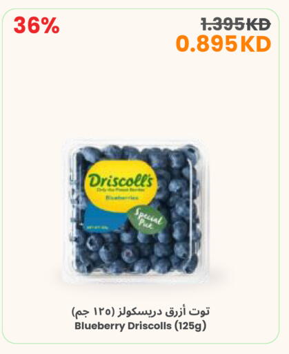 Blueberry BlueBerry available at The Sultan Center in Kuwait - Ahmadi Governorate
