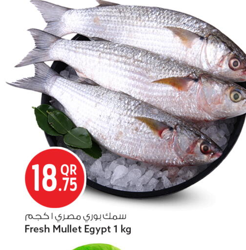 available at سفاري هايبر ماركت in قطر - الريان