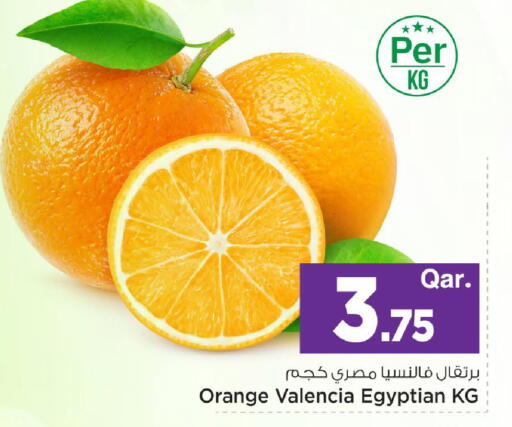 Orange available at مارك & سيف in قطر - الخور