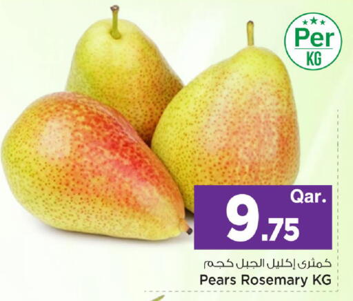 Rosemary available at مارك & سيف in قطر - الشمال