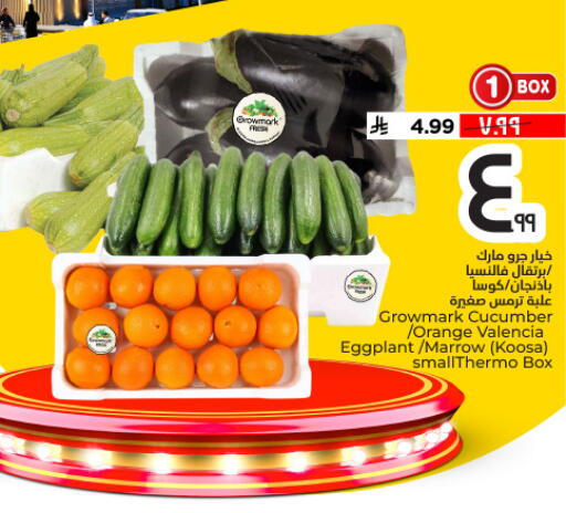 Orange Cucumber Eggplant Marrow available at Hyper Al Wafa in KSA, Saudi Arabia, Saudi - Al Hasa