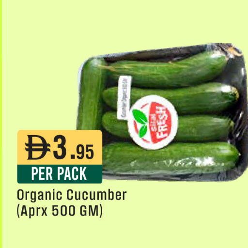 Cucumber available at West Zone Supermarket in UAE - Dubai