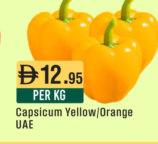 Orange Capsicum available at ويست زون سوبرماركت in الإمارات العربية المتحدة , الامارات - أبو ظبي