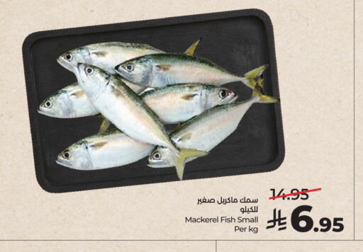 available at لولو هايبرماركت in مملكة العربية السعودية, السعودية, سعودية - حفر الباطن